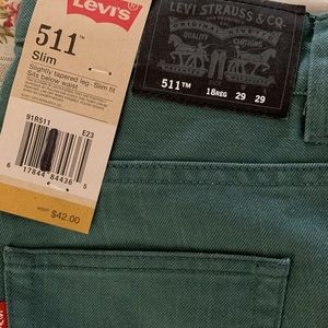 Levi Jeans Spruce Green color 29x29